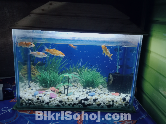 মাছের একুরিয়াম বিক্রি হবে